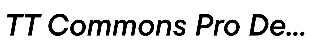 TT Commons Pro DemiBold Italic